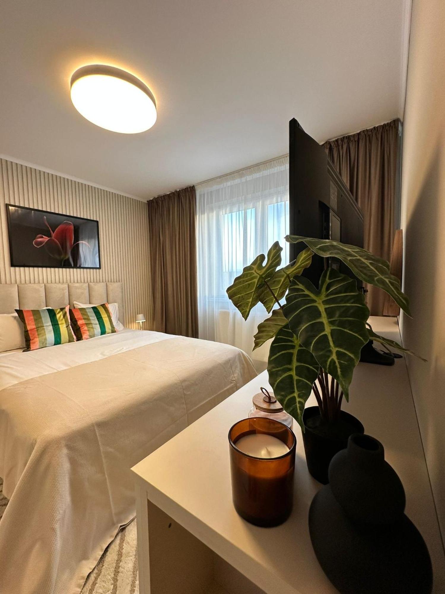 The 30Th Apartment Brasov Bagian luar foto